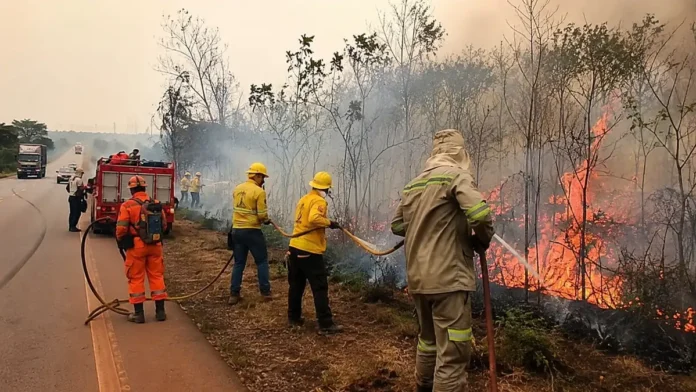 Incêndio na BR-319 mobiliza Bombeiros e brigadistas em Porto Velho