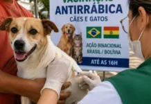 Guajará-Mirim tem vacinação antirrábica binacional neste sábado Vacinação antirrábica em Guajará-Mirim integra ação de prevenção na fronteira