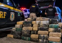 Nova apreensão em Seringueiras recolhe 338,6 kg de drogas Apreensão de drogas em Seringueiras com atuação conjunta da PRF, Polícia Civil e Polícia Militar