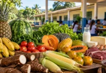 Nova Brasilândia terá sessão de R$ 587 mil para comprar alimentos da agricultura familiar Composição editorial sobre agricultores familiares e alimentos para a merenda escolar em Nova Brasilândia.