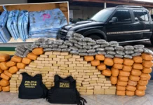 Polícia apreende cerca de 245 kg de droga durante abordagem na BR-429 Tabletes, embalagens e veículo associados à apreensão durante ação policial na BR-429, em Rondônia.