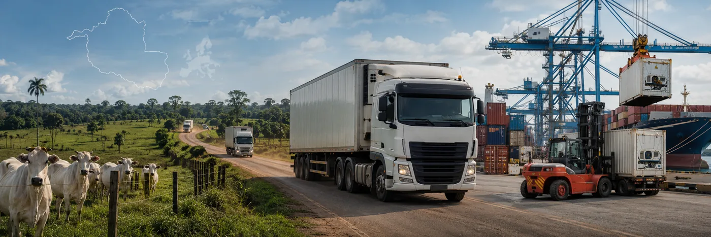 Cadeia de exportação de carne bovina e mercado europeu