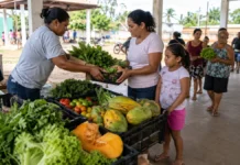 Cesta Verde terá cinco datas de atendimento em Rolim de Moura Cesta Verde atende famílias em Rolim de Moura em setembro