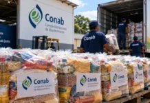 Rondônia entra em nova distribuição da Conab; plano tem lote de 1.560 cestas para Porto Velho Cestas da Conab em Rondônia em composição editorial sobre nova distribuição de alimentos