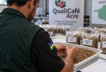 Cafés do Acre serão classificados pela Idaron em Vilhena classificação de café em Vilhena com amostras do QualiCafé Acre