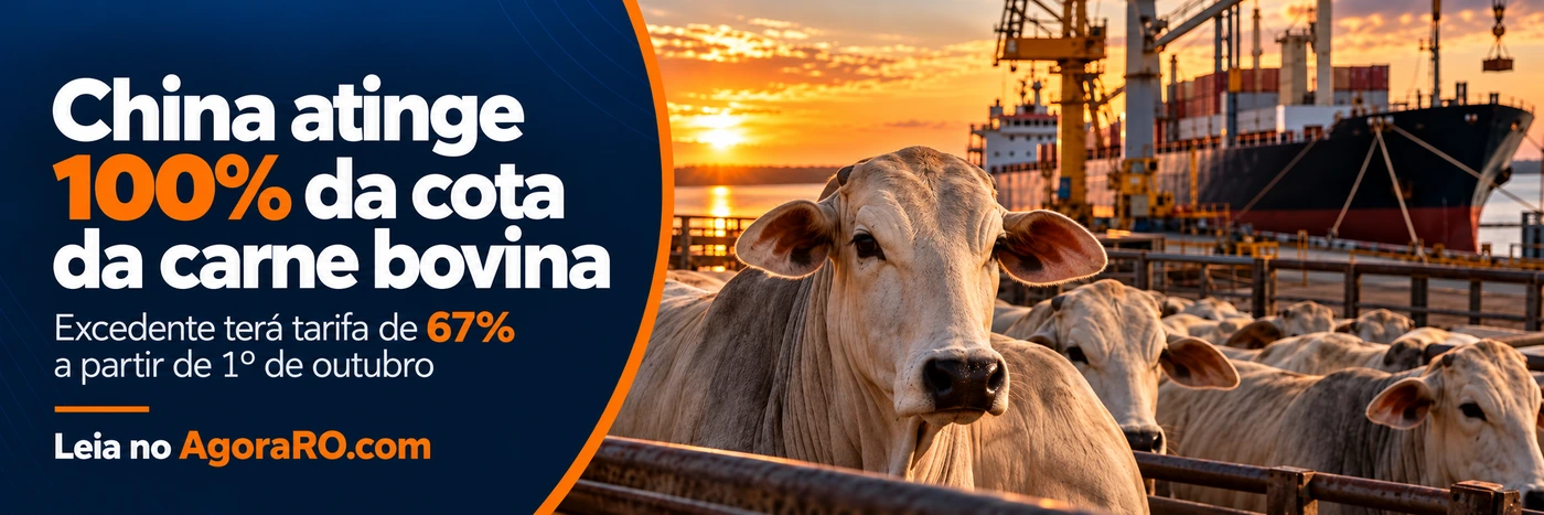 Cota da carne bovina brasileira na China chega a 100% em setembro de 2026