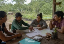 Edital Floresta+ Amazônia aceita propostas de até R$ 650 mil em Rondônia Edital Floresta+ Amazônia para projetos em Rondônia