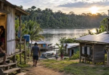 ANEEL aprova testes de energia na Amazônia; veja o que falta definir em Rondônia Energias da Floresta: ilustração de comunidade ribeirinha e sistema solar, sem retratar projeto real em Rondônia.