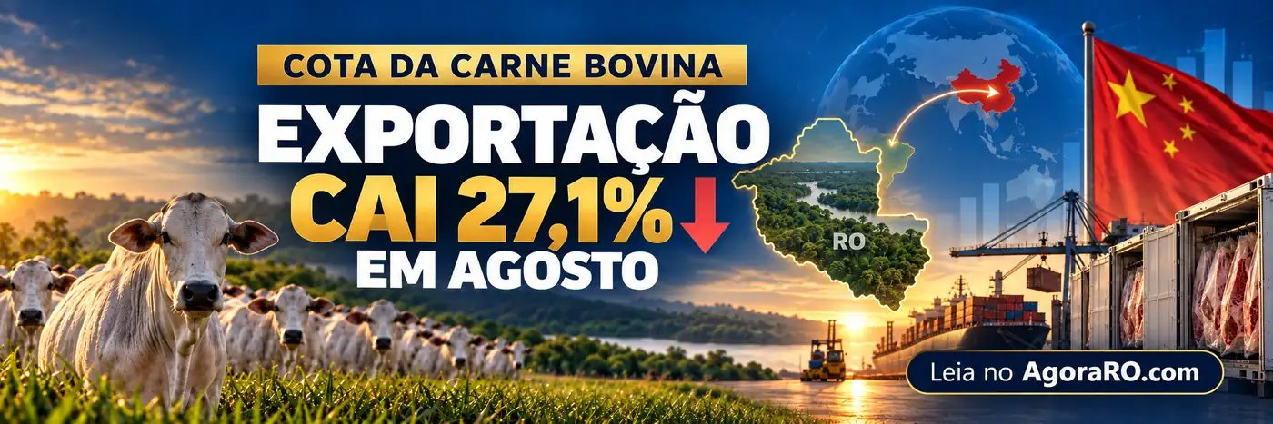 Exportação de carne bovina em agosto com queda nacional de 27,1%
