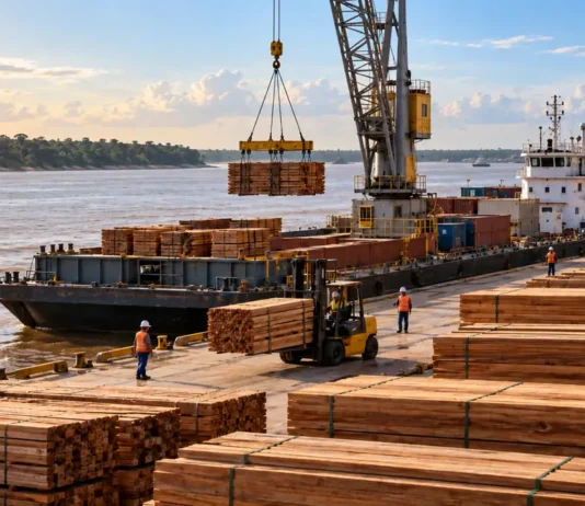 Receita mantém operação temporária para exportação de madeira pela BDX em Porto Velho Imagem ilustrativa de operação portuária com madeira beneficiada em cenário fluvial, representando exportação de madeira em Porto Velho