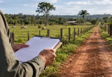 Incra publica 19 notificações fundiárias em Rondônia; veja municípios e prazos Área rural com pastagem e profissional com prancheta em composição editorial sobre notificações fundiárias do Incra em Rondônia