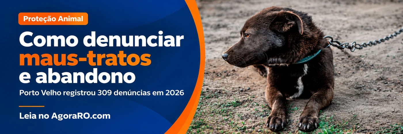 Como denunciar maus-tratos a animais e abandono em Porto Velho