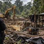 PF e Ibama inutilizam máquinas usadas em garimpo ilegal em terras indígenas de Rondônia Fiscalização contra garimpo ilegal em Rondônia com maquinário em área de floresta