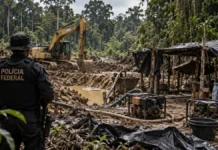 PF e Ibama inutilizam máquinas usadas em garimpo ilegal em terras indígenas de Rondônia Fiscalização contra garimpo ilegal em Rondônia com maquinário em área de floresta