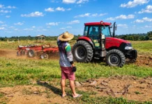 Agricultores de Porto Velho recebem serviços para preparar áreas de café e mandioca Composição ilustrativa sobre preparo de áreas rurais para café e mandioca em Porto Velho.