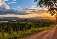 Primavera começa nesta terça em Rondônia; veja o que muda no clima Primavera em Rondônia: paisagem ilustrativa com estrada rural, vegetação e céu ao pôr do sol; não mostra evento climático real.