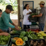 Programa de compras da agricultura familiar alcança 45 municípios de Rondônia Programa Nosso Alimento em Rondônia