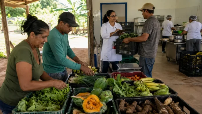 Agricultura familiar abastece compras institucionais em Rondônia Programa Nosso Alimento em Rondônia