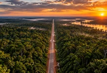 Governo cria quatro reservas na área da BR-319, ligação entre Manaus e Porto Velho Vista aérea de estrada atravessando floresta amazônica ao pôr do sol, representação do corredor da BR-319