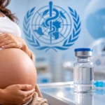 OMS pré-qualifica versão multidose da vacina contra VSR para gestantes Vacina contra VSR para gestantes em composição editorial sobre imunização materna e proteção de bebês