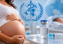 OMS pré-qualifica versão multidose da vacina contra VSR para gestantes Vacina contra VSR para gestantes em composição editorial sobre imunização materna e proteção de bebês