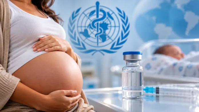 Vacina contra VSR para gestantes em composição editorial sobre imunização materna e proteção de bebês