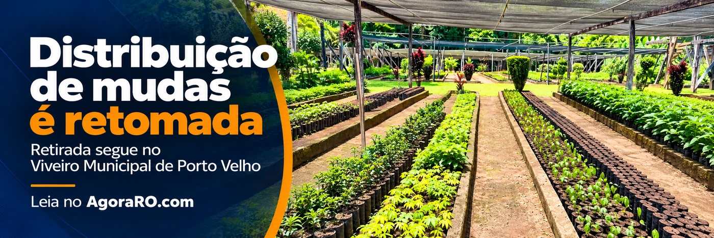 Arte sobre a retomada da distribuição de mudas no Viveiro Municipal de Porto Velho