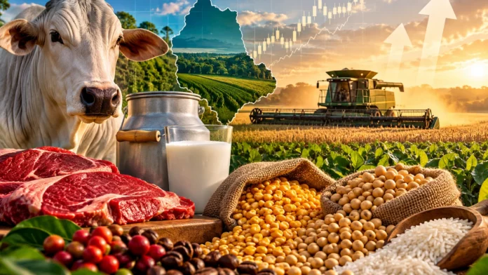 Mapa atualiza mercado de carnes, leite e grãos; Rondônia tem novas referências de preços em setembro Mercado agropecuário de Rondônia com carnes, leite, milho, soja, arroz e café