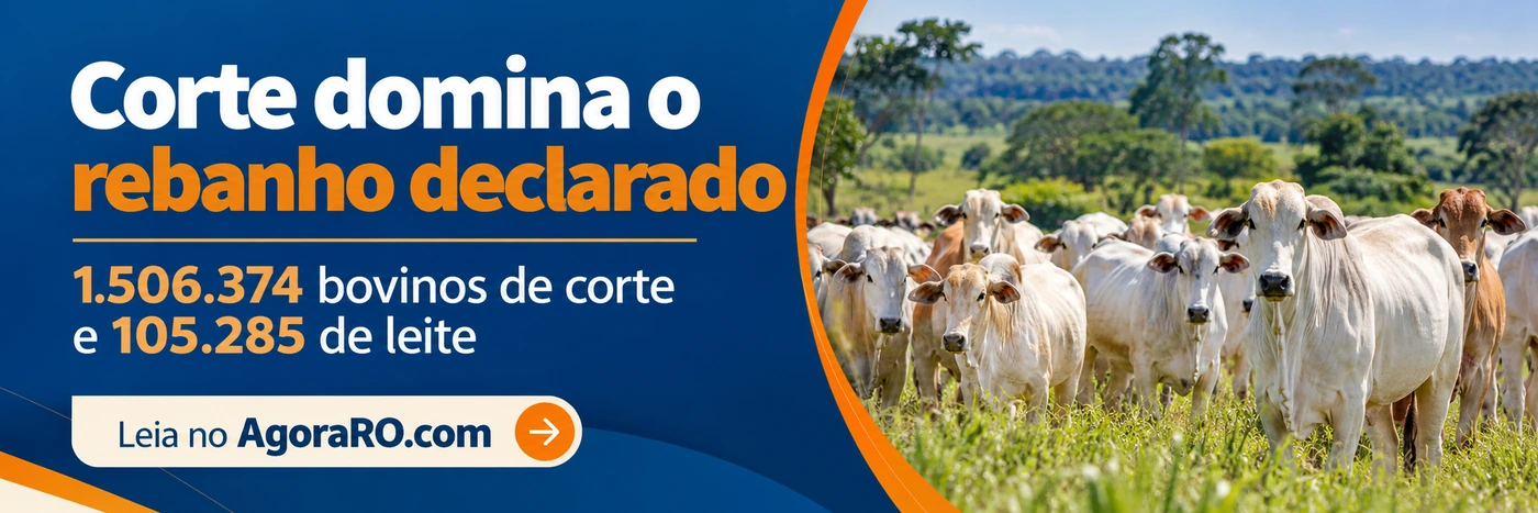 Faixa do AgoraRO mostra 1.506.374 bovinos de corte e 105.285 de leite em Porto Velho