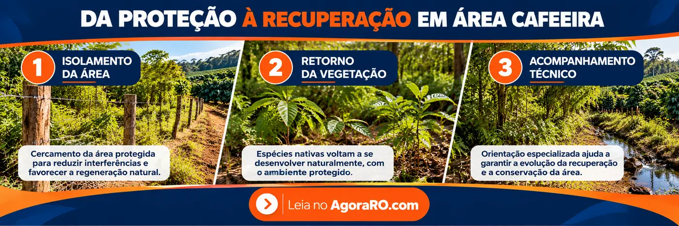 Infográfico sobre isolamento da área, retorno da vegetação nativa e acompanhamento técnico.