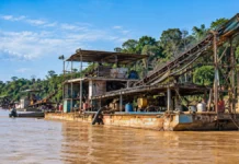 Operação Nêmesis inutiliza 72 equipamentos do garimpo ilegal no Rio Madeira Operação Nêmesis: composição ilustrativa de dragas e equipamentos de garimpo no Rio Madeira, em Porto Velho, Rondônia.